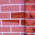 Brick tinting 010.JPG